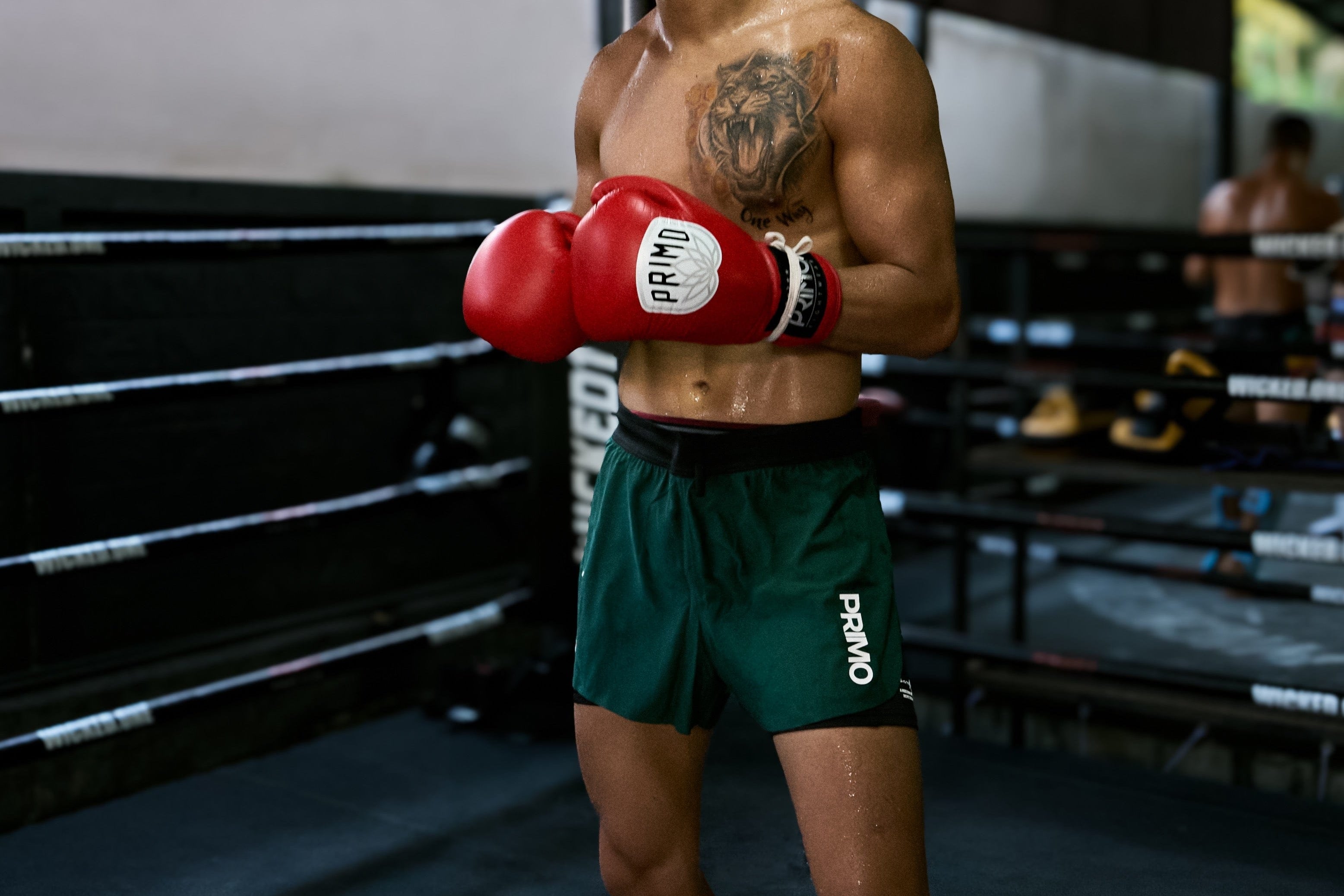 Primo Fight Wear Official Elite Strikers Compression Shorts - Forest Green